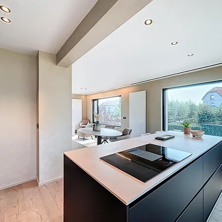 Helene - 2 Newly Renovated Flats For Rent Together Or Separately * Koksijde